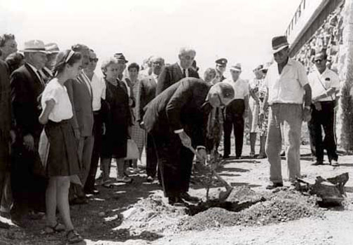 Герман Фридрих Гребе сажает дерево на Аллее Праведников, 1965